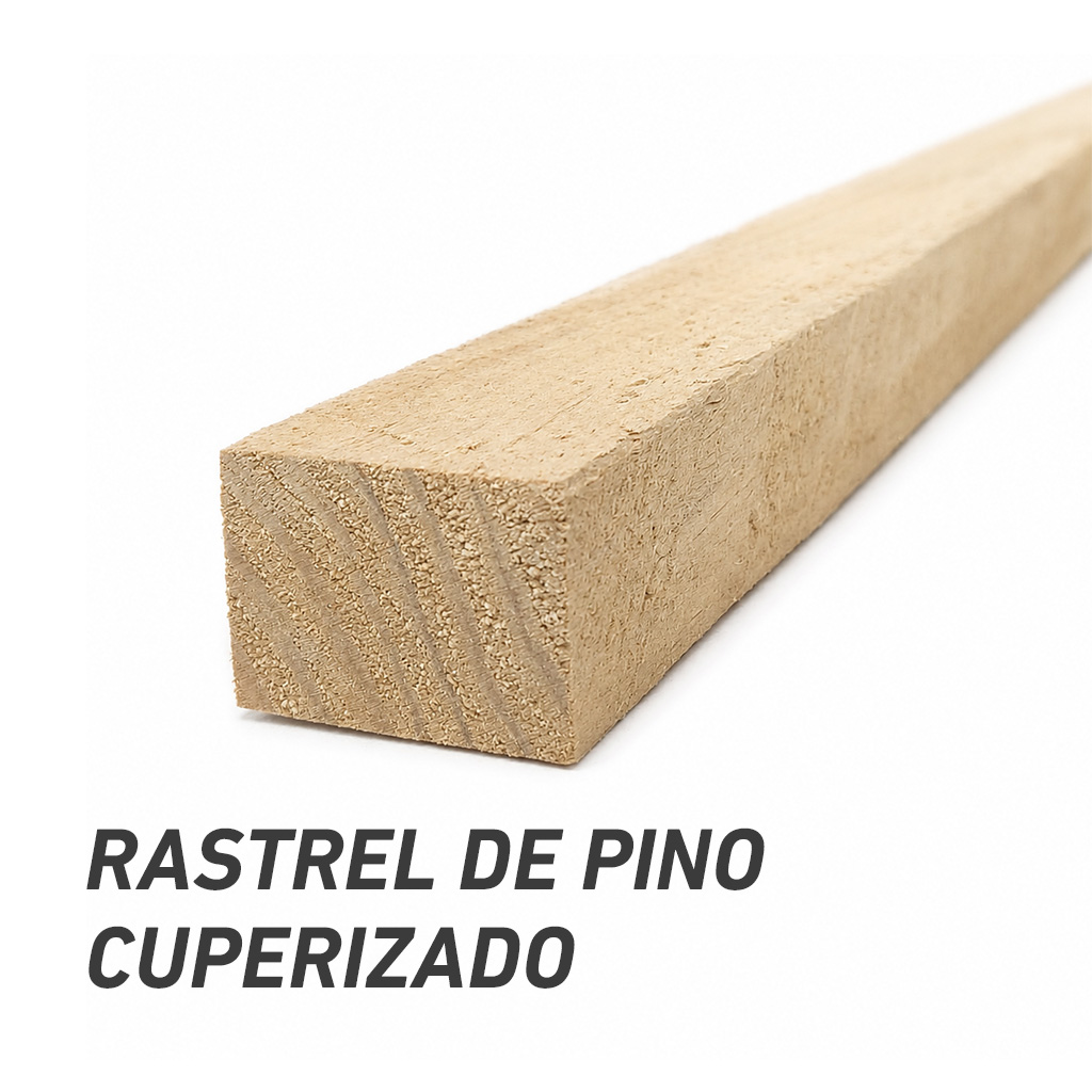 Rastrel pino
